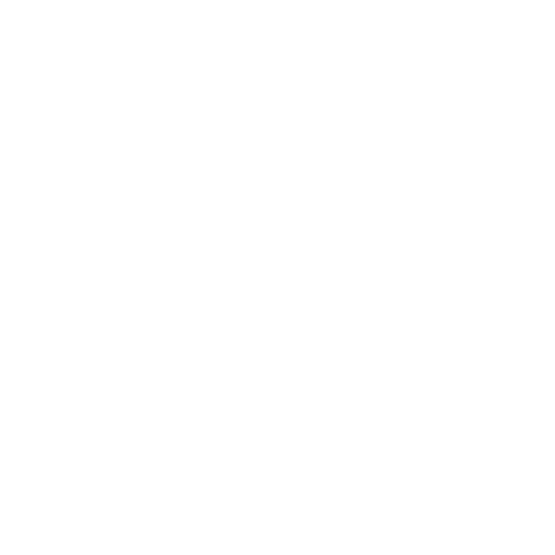 The iPhone Throttling Claim
